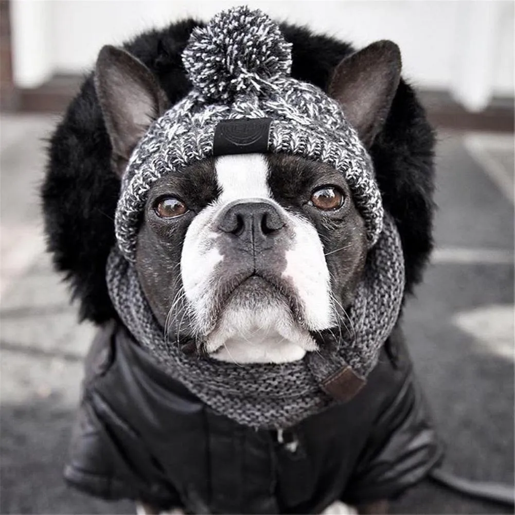 Adorable Dog Knitted Hat  Sizes Small - Large